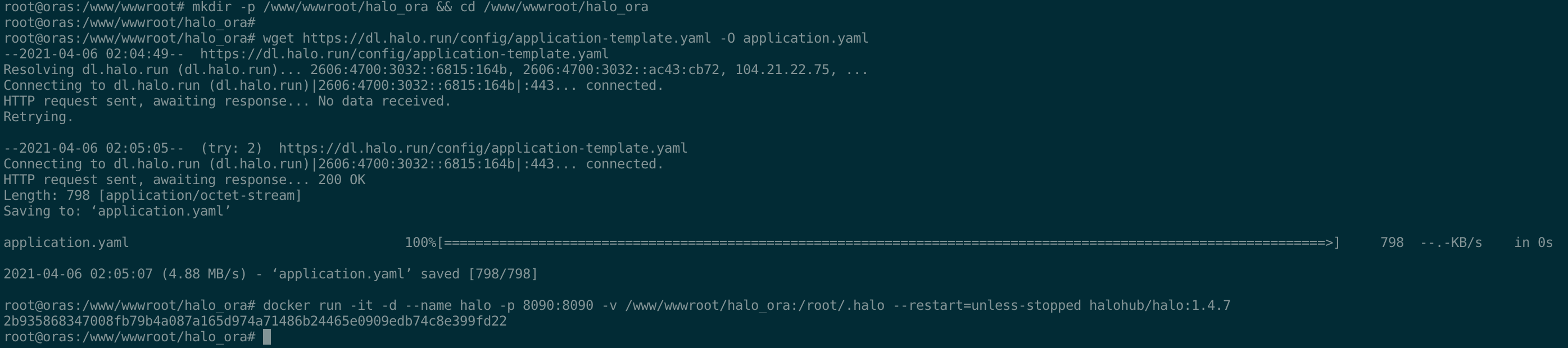 创建文件夹 & 编辑 Halo 配置 以及启动容器